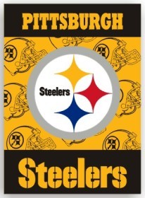 Pittsburgh Steelers Banner 28×40 House Flag Style 2 Sided CO