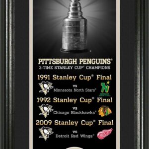 Pittsburgh Penguins Legacy Supreme Bronze Coin Panoramic Photo Mint