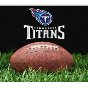 Tennessee Titans Classic NFL Football Pet Bowl Mat – L