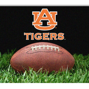Auburn Tigers Classic  Football Pet Bowl Mat – L