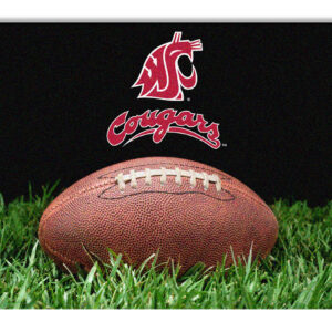 Washington State Cougars Classic  Football Pet Bowl Mat – L  CO